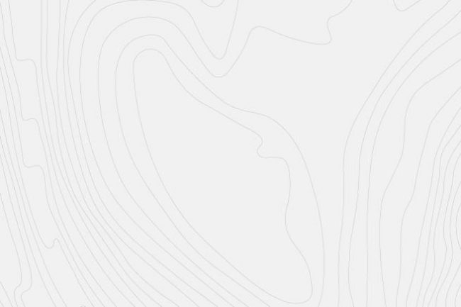 Contour Land Survey Topography